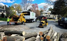 Best Storm Damage Tree Cleanup  in Seat Pleasant, MD